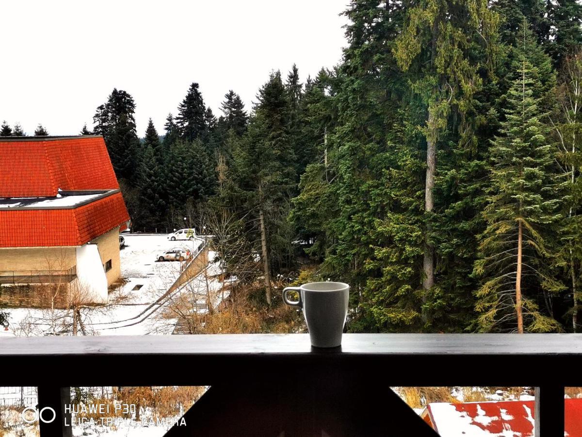 Apartment Iva - Iglika 2 Borowec Zewnętrze zdjęcie